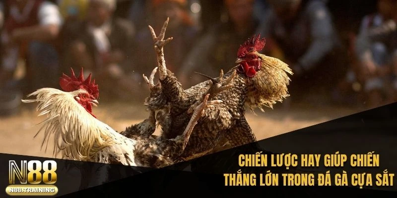 Đá Gà Cựa Sắt – Bí Quyết Chinh Phục Sân Chơi Giải Trí 3 Chiến lược hay giúp chiến thắng lớn trong đá gà cựa sắt