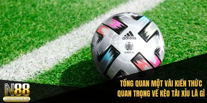 Khám Phá Cá Cược Kèo Tài Xỉu Là Gì Trong Bóng Đá N88 1 Tổng quan một vài kiến thức quan trọng về kèo tài xỉu là gì
