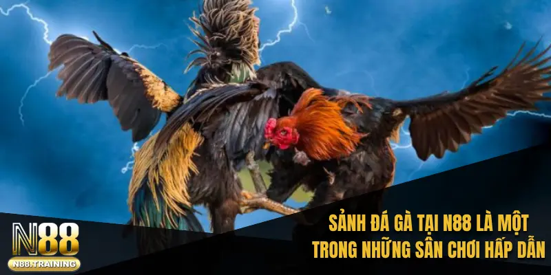 N88 - cheers.jpn.com | Sân Chơi Xanh Chín Tặng 888K Cho Bạn Mới 40 Sảnh đá gà tại N88 là một trong những sân chơi trực tuyến hấp dẫn
